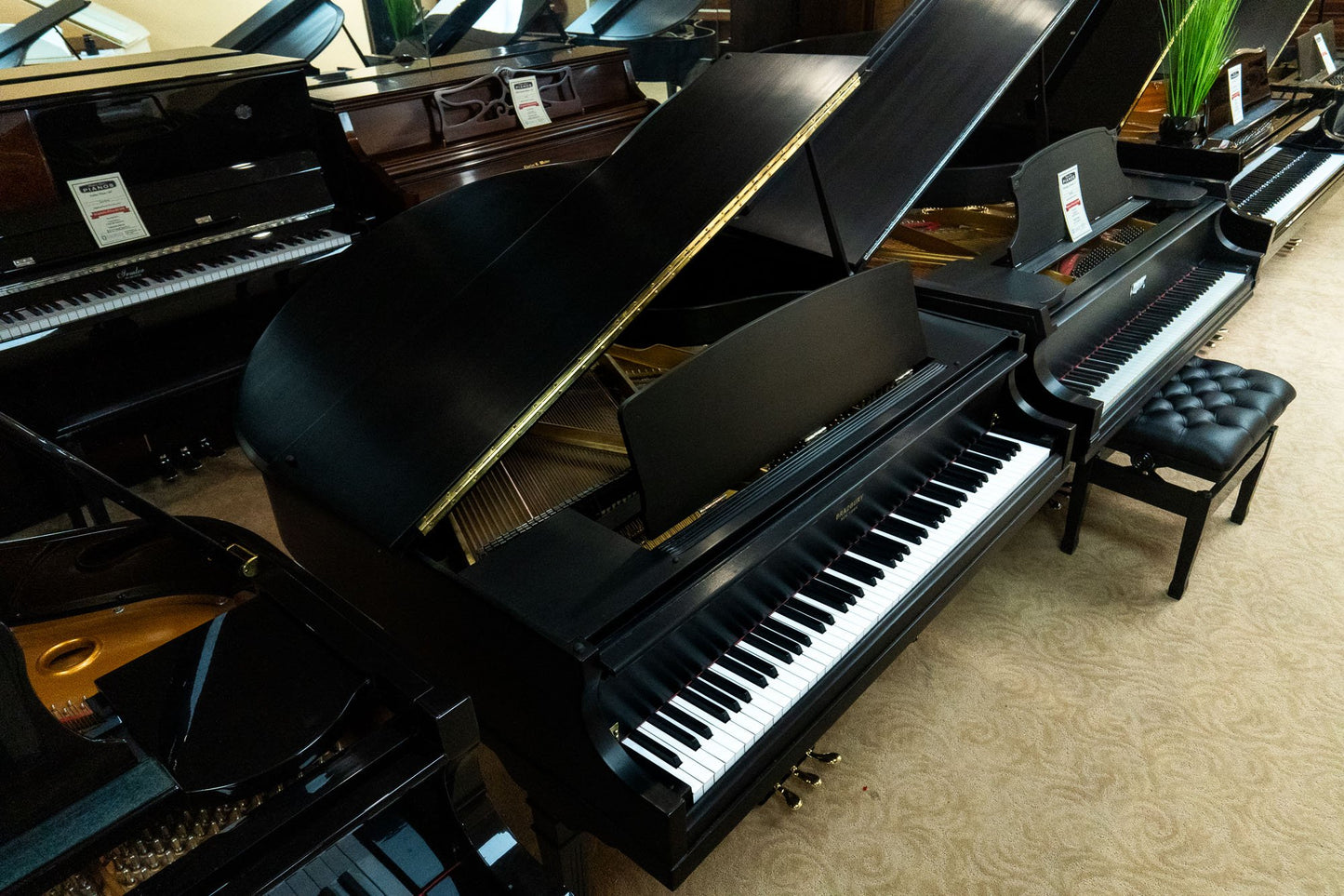 Image 2 of 1931 Bradbury / 4'7"