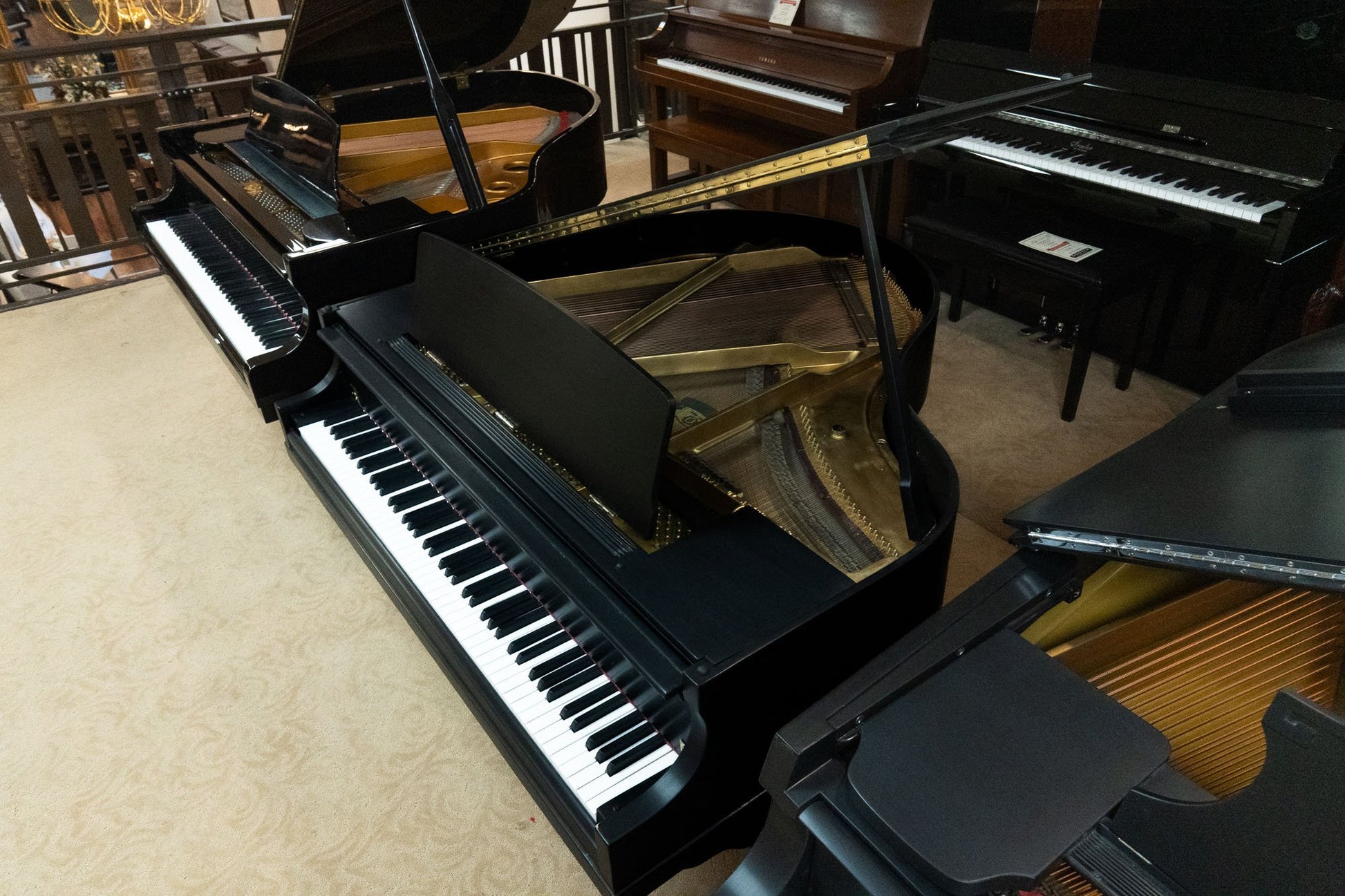 Image 3 of 1931 Bradbury / 4'7"