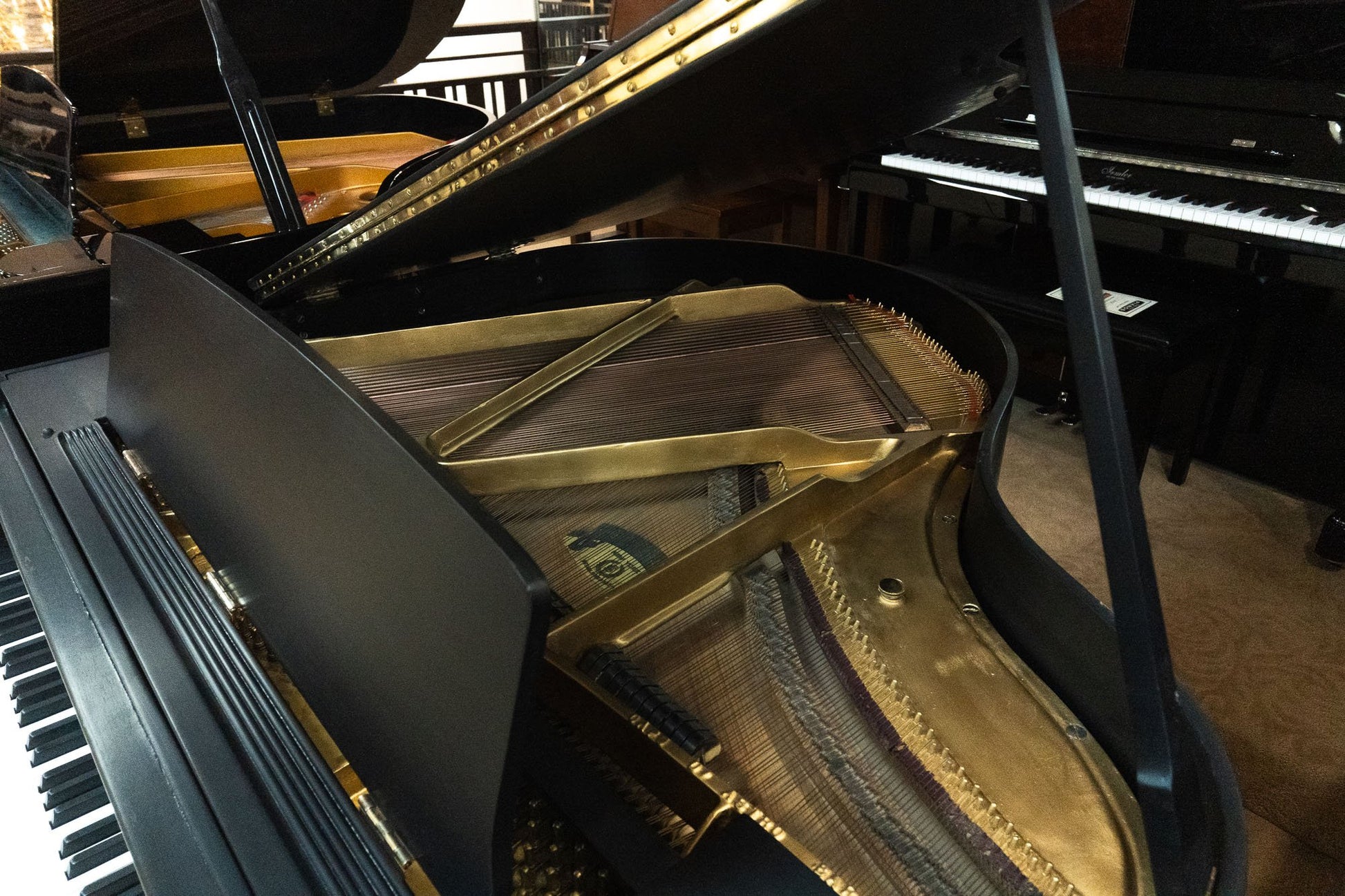 Image 4 of 1931 Bradbury / 4'7"