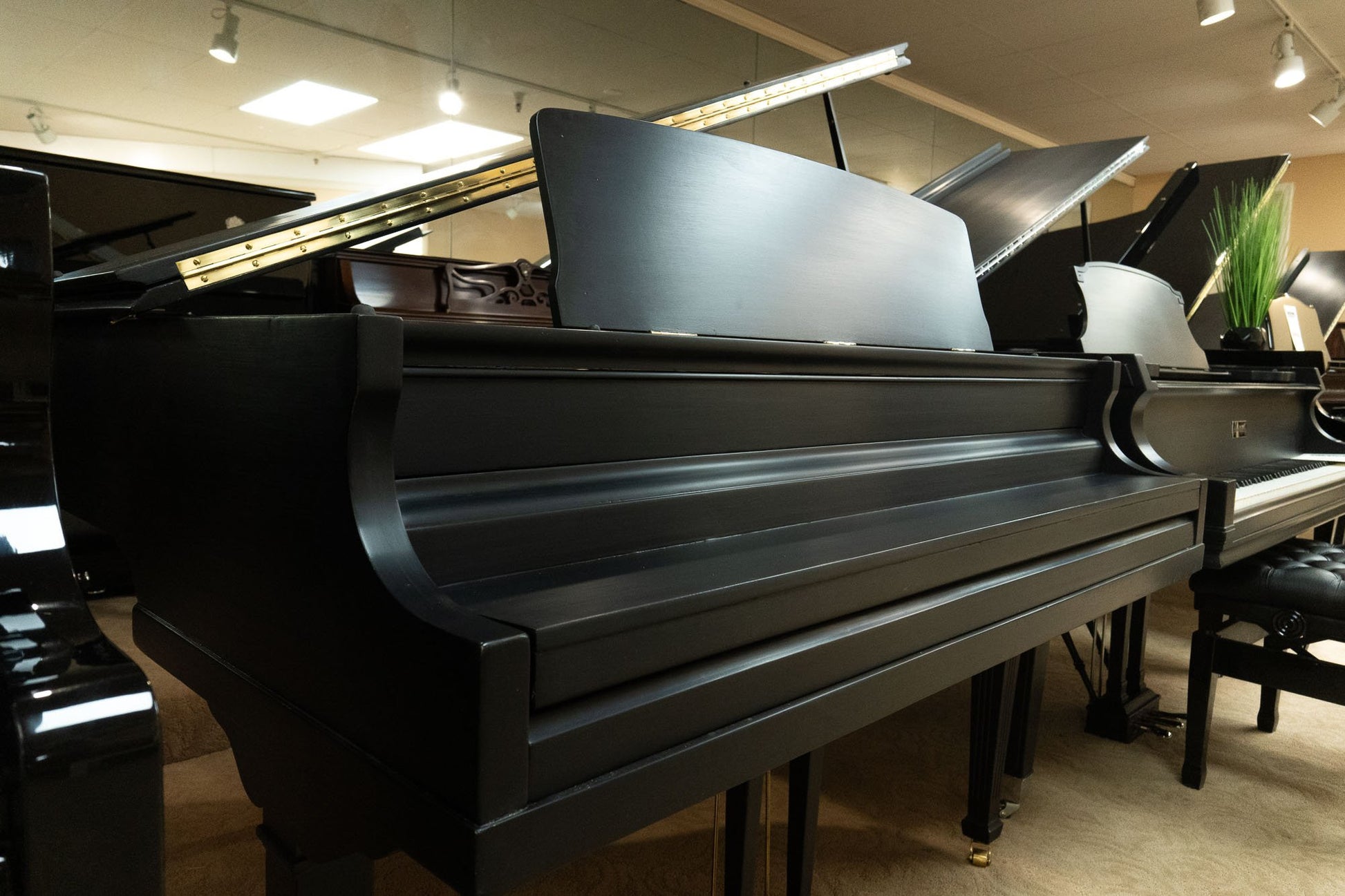 Image 8 of 1931 Bradbury / 4'7"