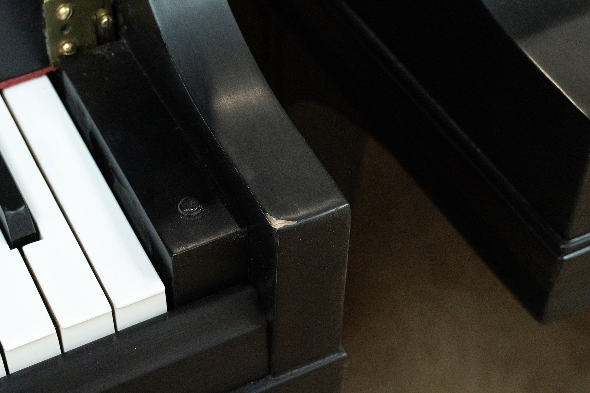 Image 12 of 1931 Bradbury / 4'7"