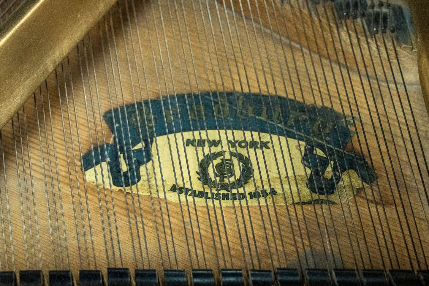 Image 16 of 1931 Bradbury / 4'7"