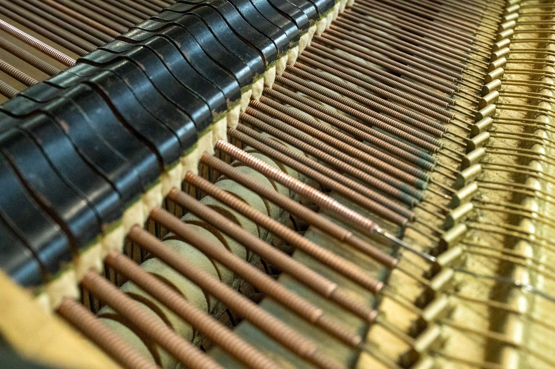 Image 17 of 1931 Bradbury / 4'7"