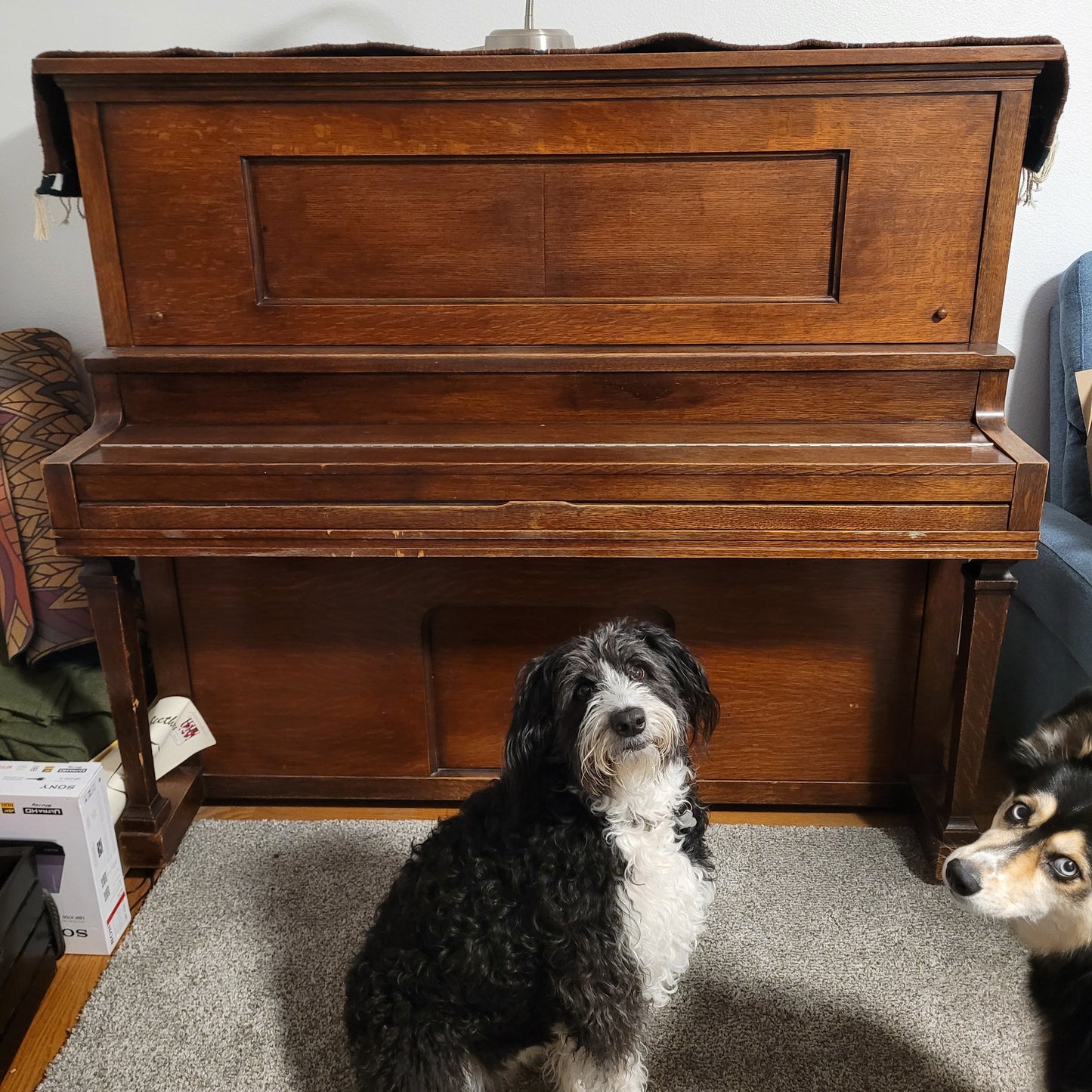 The Larson Family Piano!