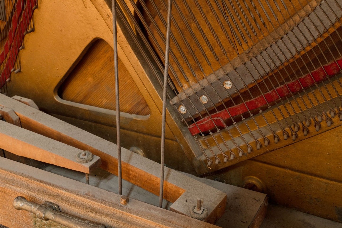 Image 11 of 1897 George P Bent Crown