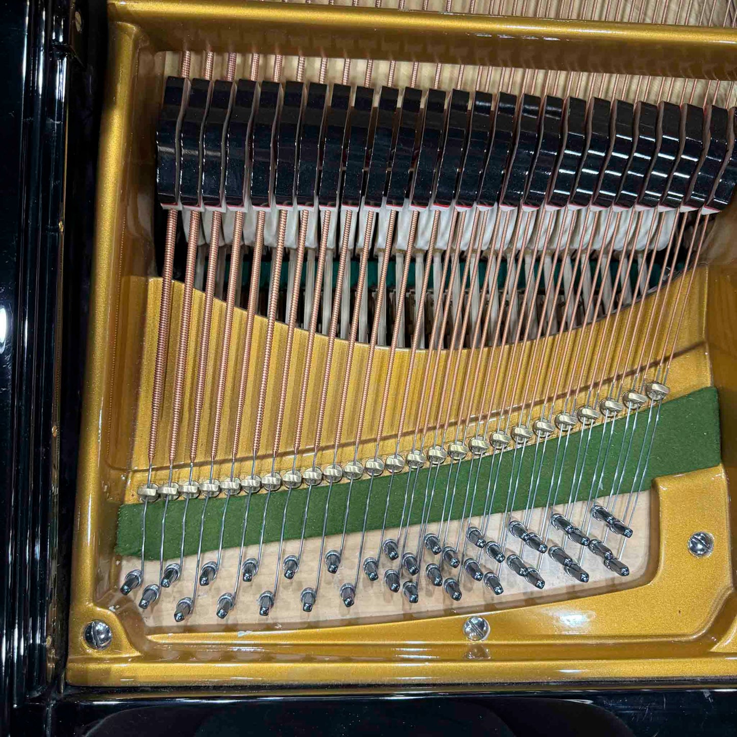 1908 Bechstein V-202 6'7" Polished Black Grand Piano