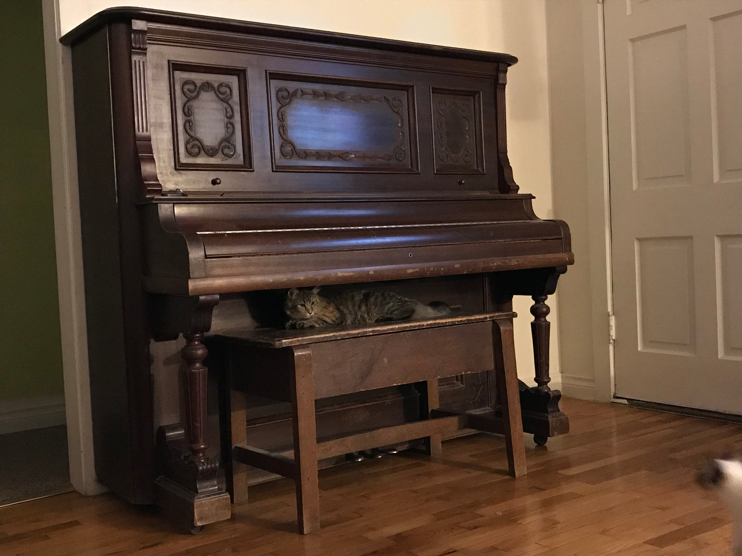 The Novello Family Piano!