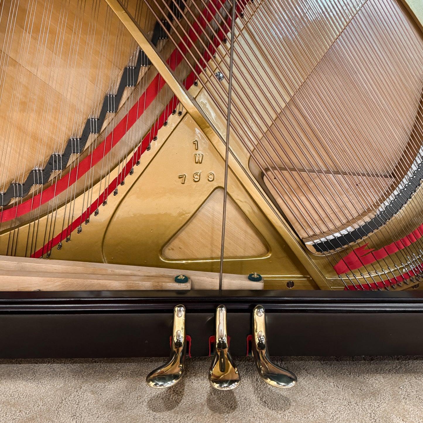 1911 Schaeffer 56" Wood Finish Upright Piano