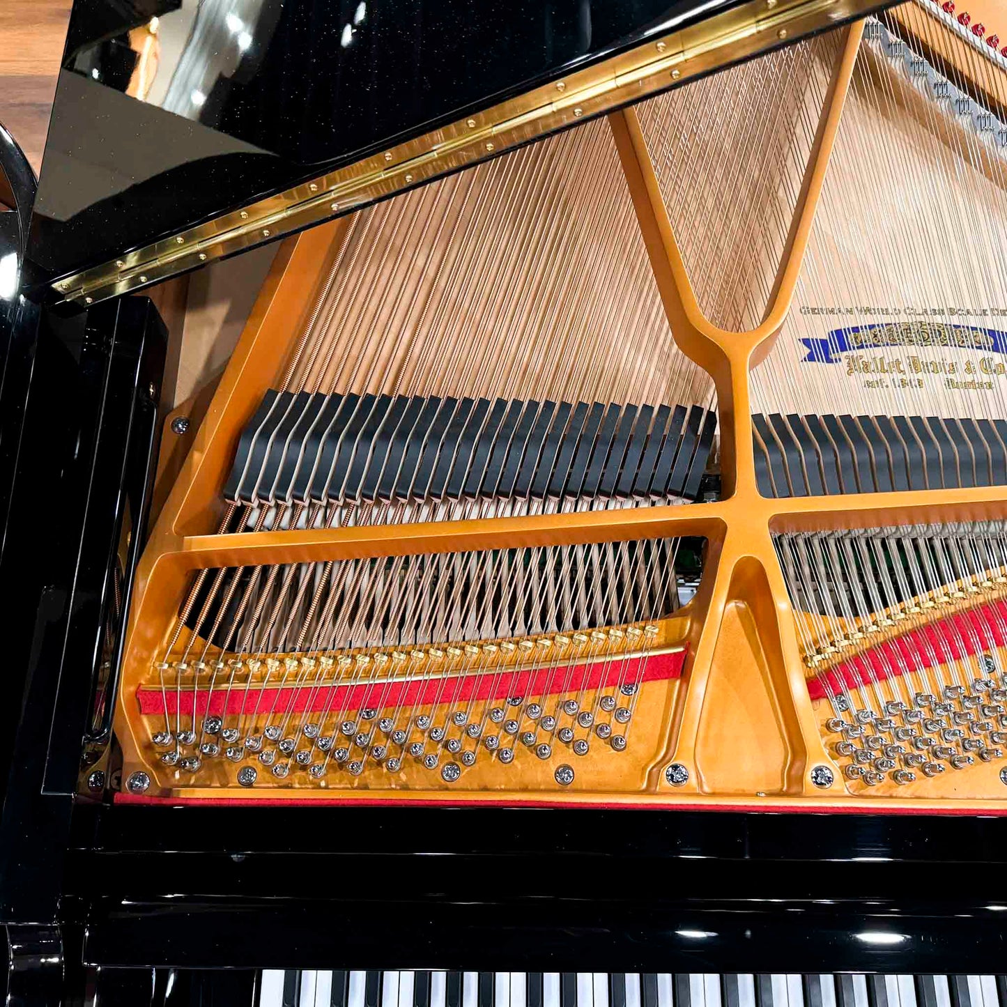 Hallet Davis 170 5'7" Polished Black Grand Piano with QRS Self Playing System