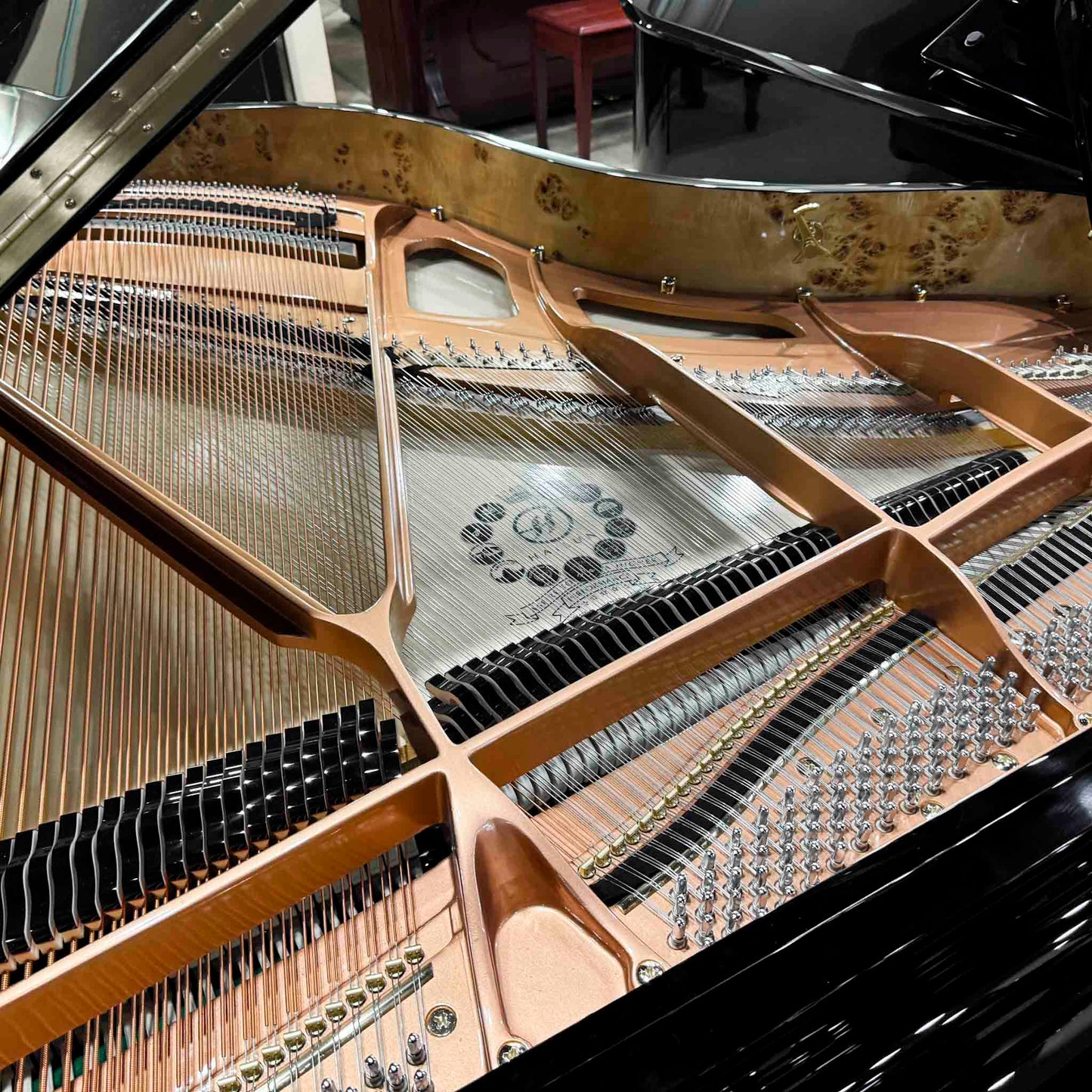 SOLD Hailun 178 5'10" Polished Black Grand Piano with Self Playing System