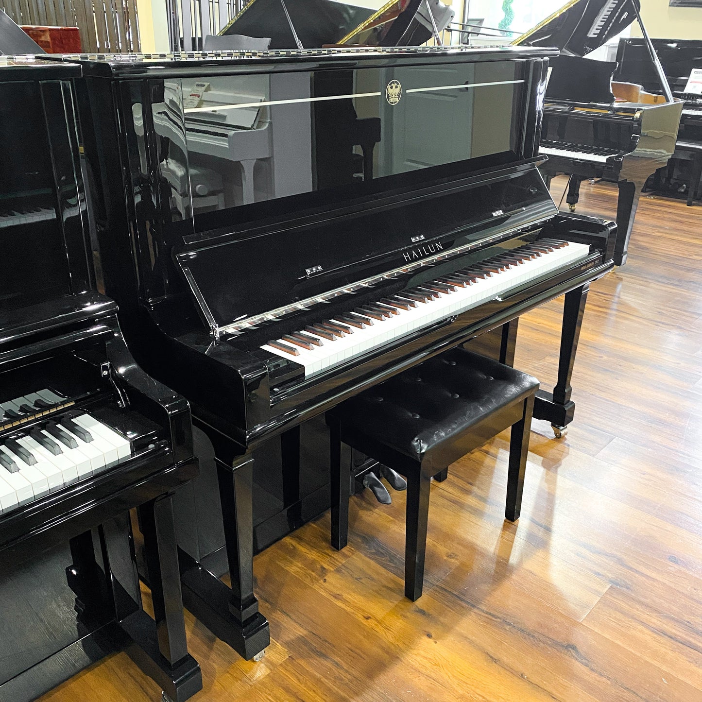 Image 2 of Hailun VI33 Polished Black