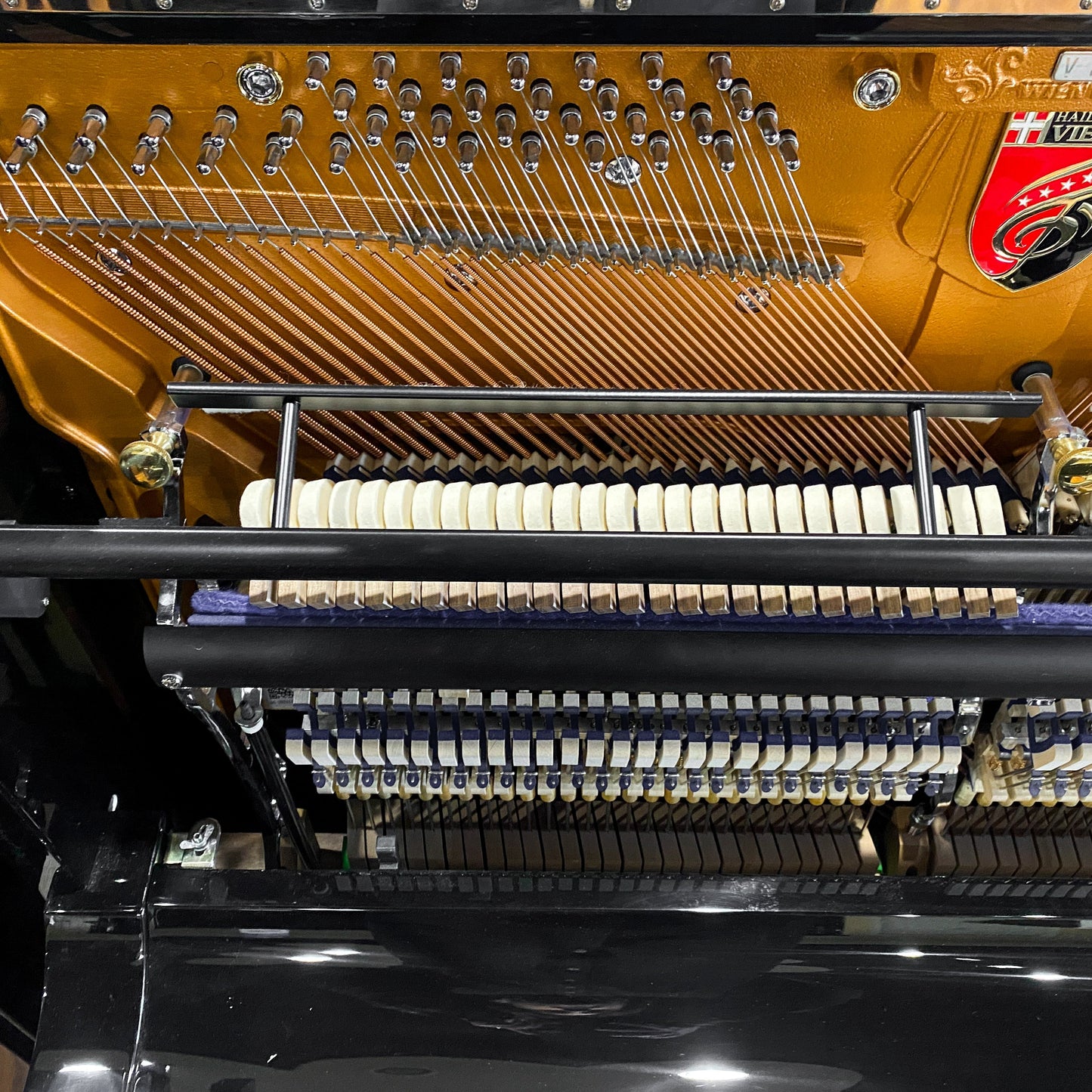 Image 10 of Hailun VI33 Polished Black