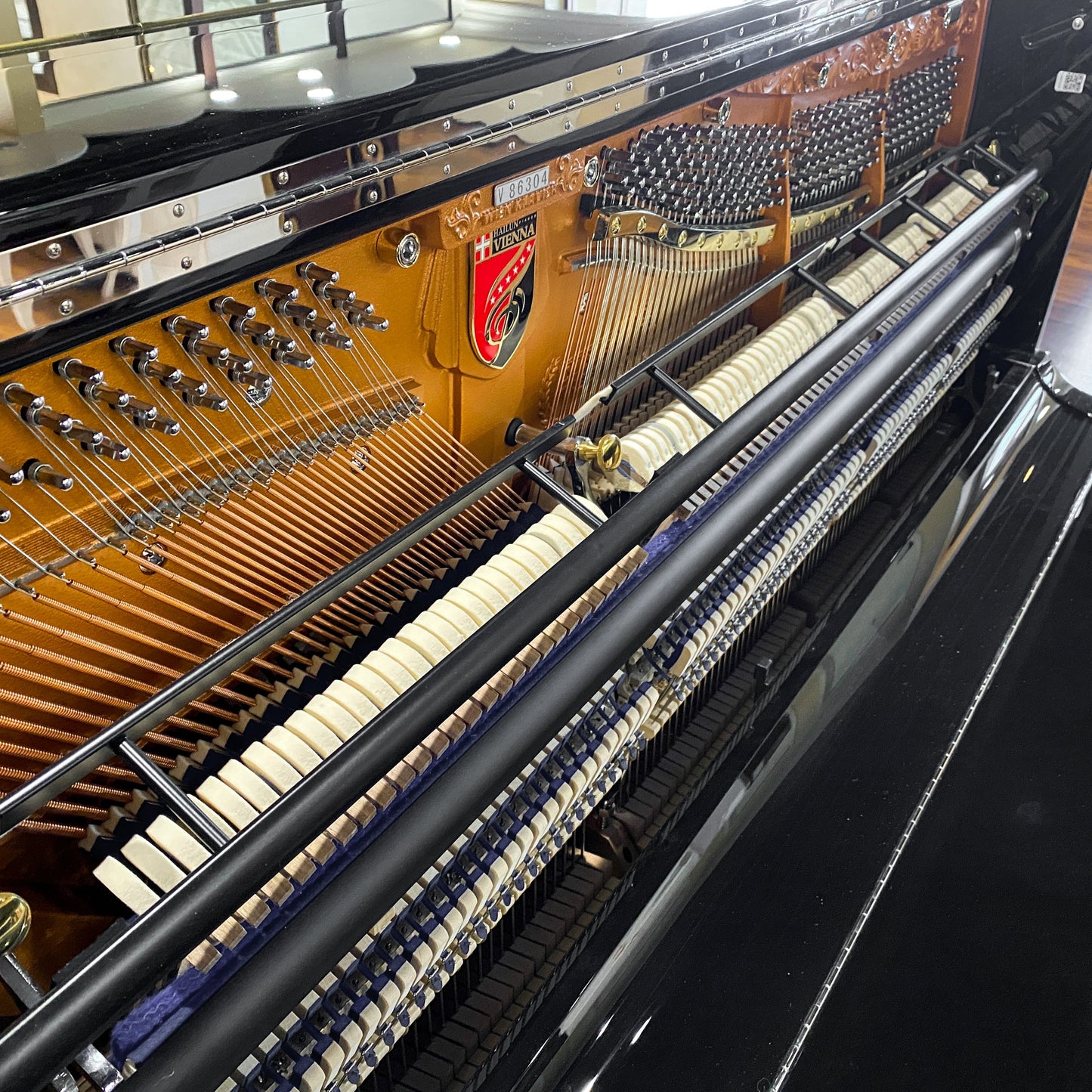 Image 11 of Hailun VI33 Polished Black