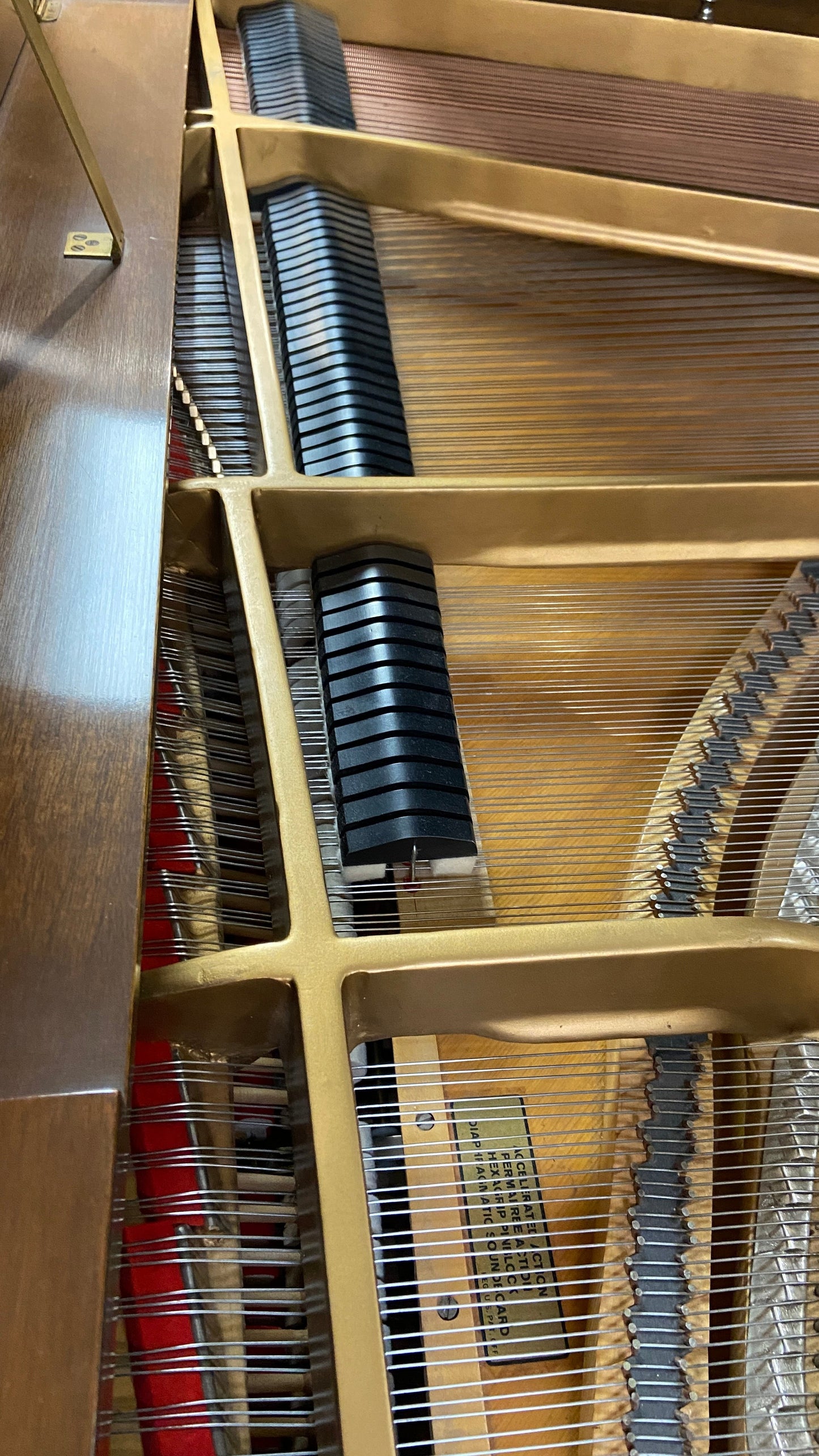 Image 22 of 1979 Steinway M Grand / Black / 5'7"