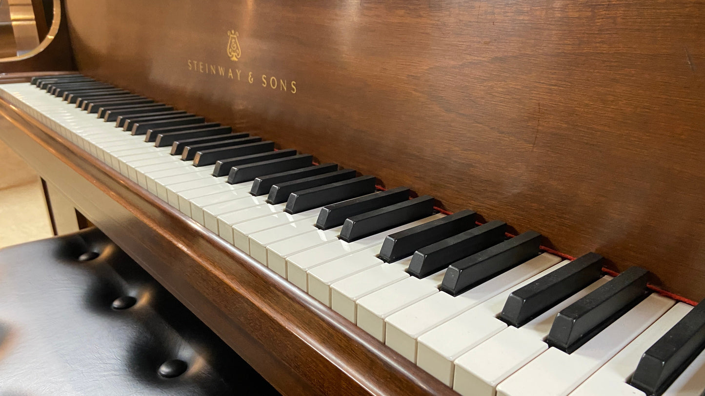 Image 23 of 1979 Steinway M Grand / Black / 5'7"