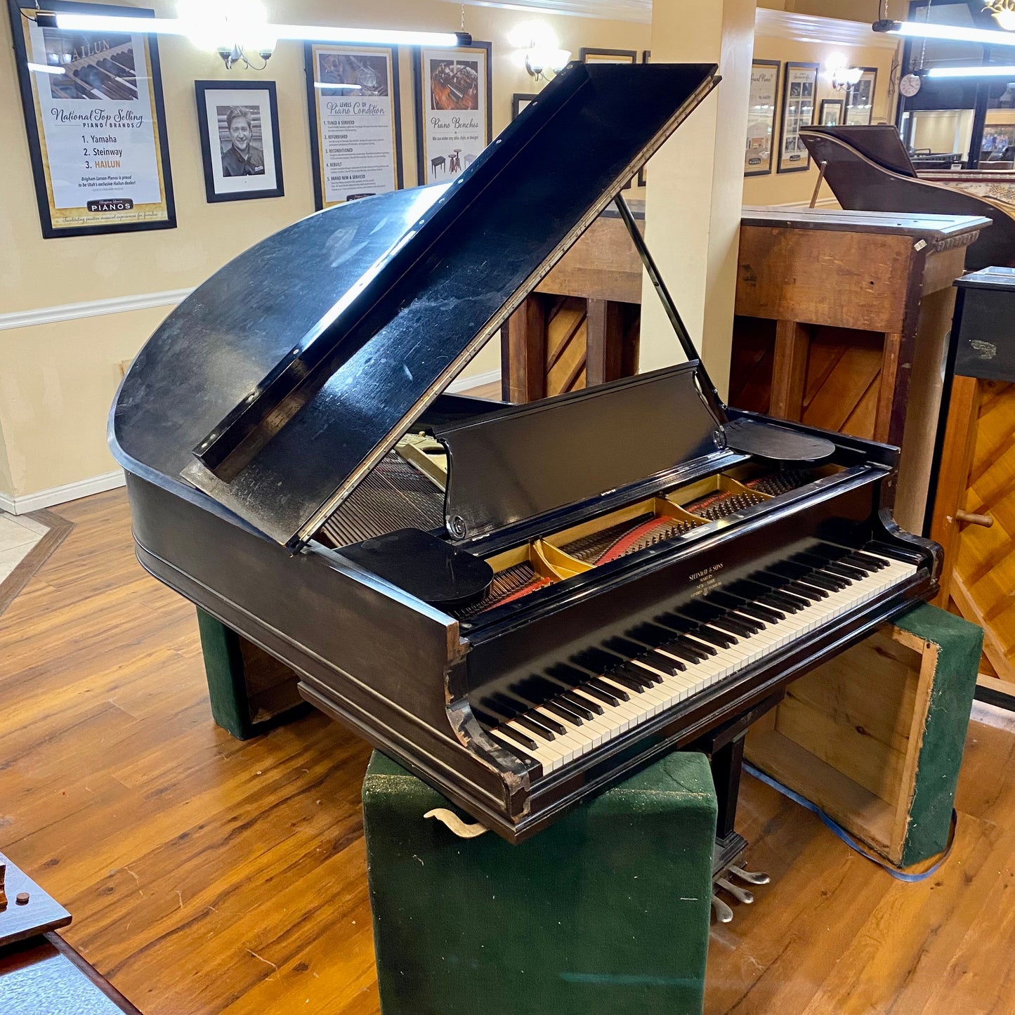 Image 3 of 1905 Steinway Grand