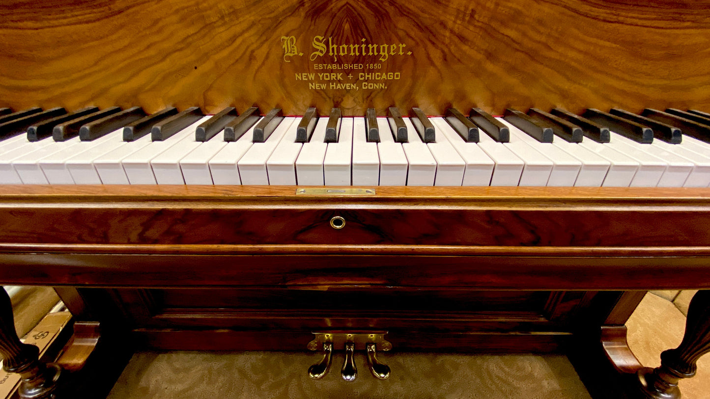 Image 6 of 1902 Shoninger Upright / 54"
