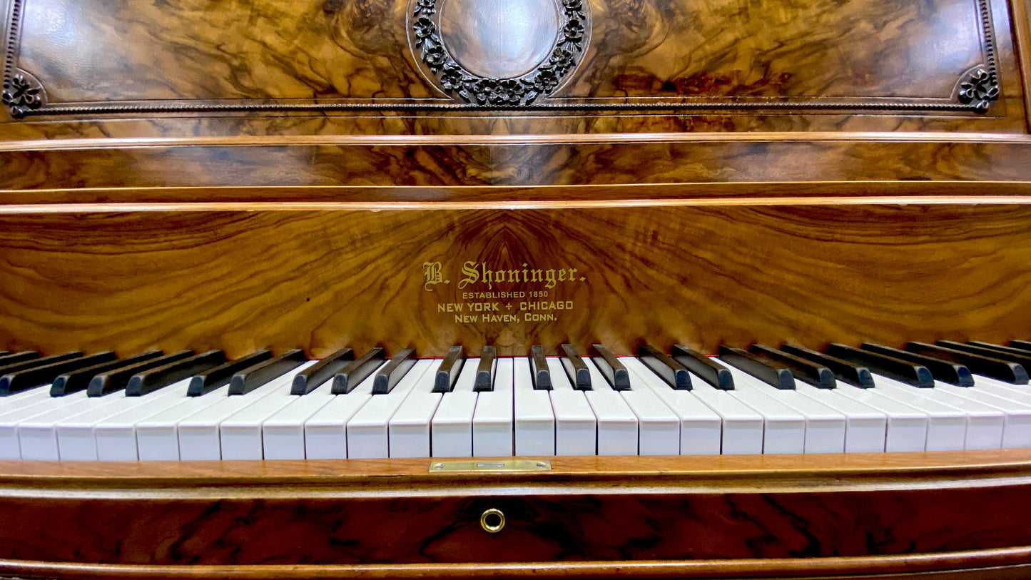 Image 7 of 1902 Shoninger Upright / 54"