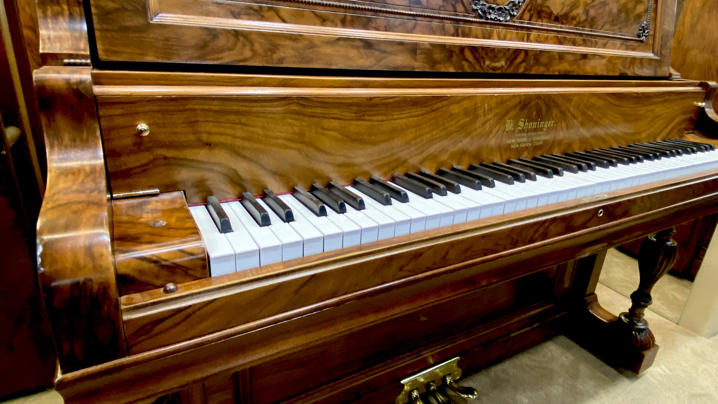 Image 9 of 1902 Shoninger Upright / 54"