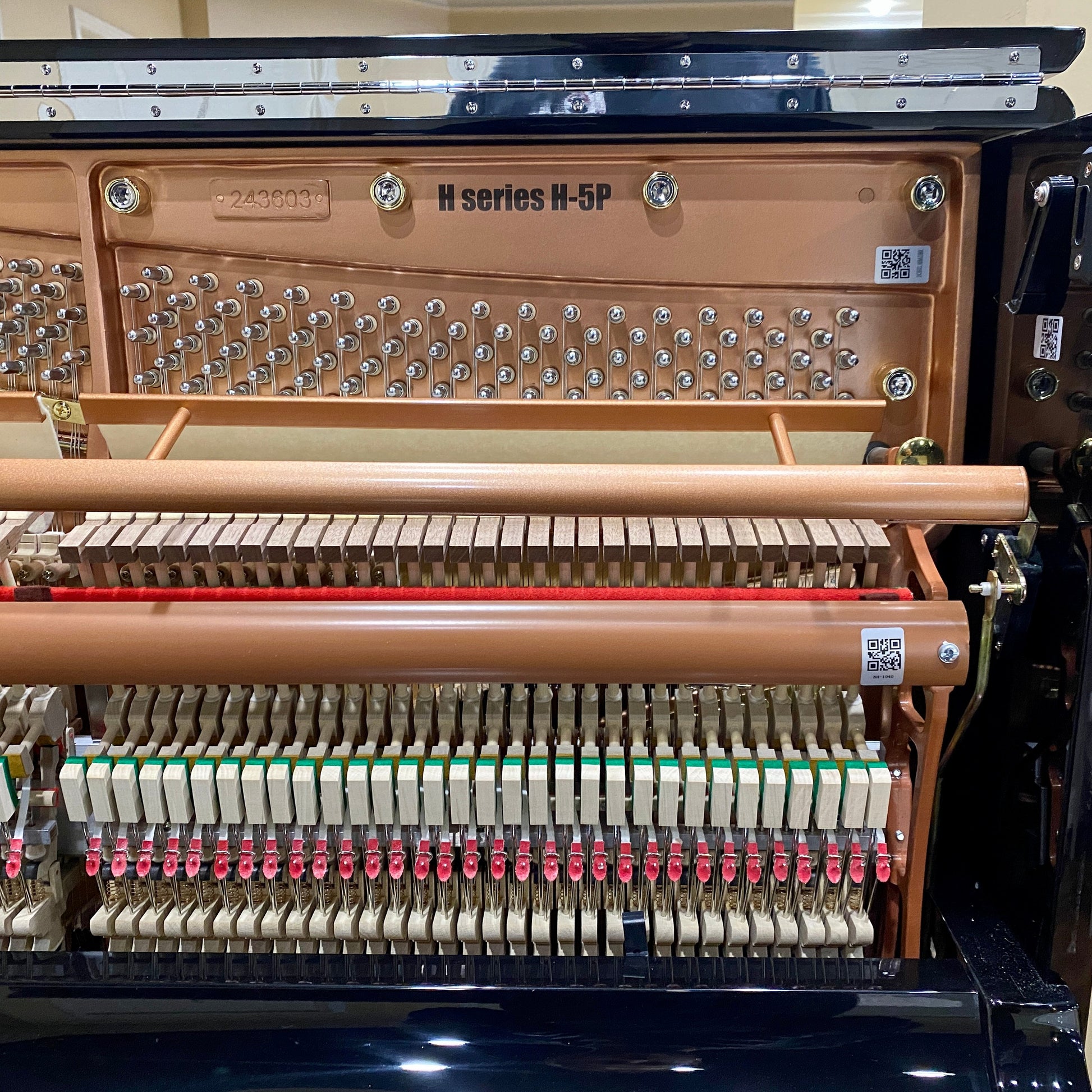 Image 8 of Hailun 5P CH Black Polish / 50"