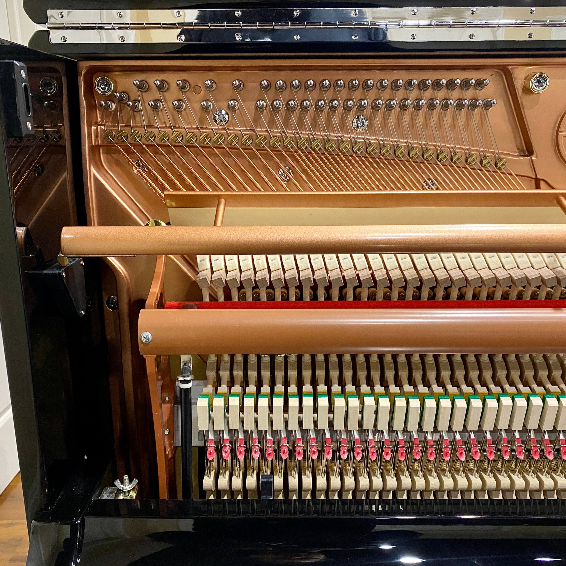 Image 9 of Hailun 5P CH Black Polish / 50"