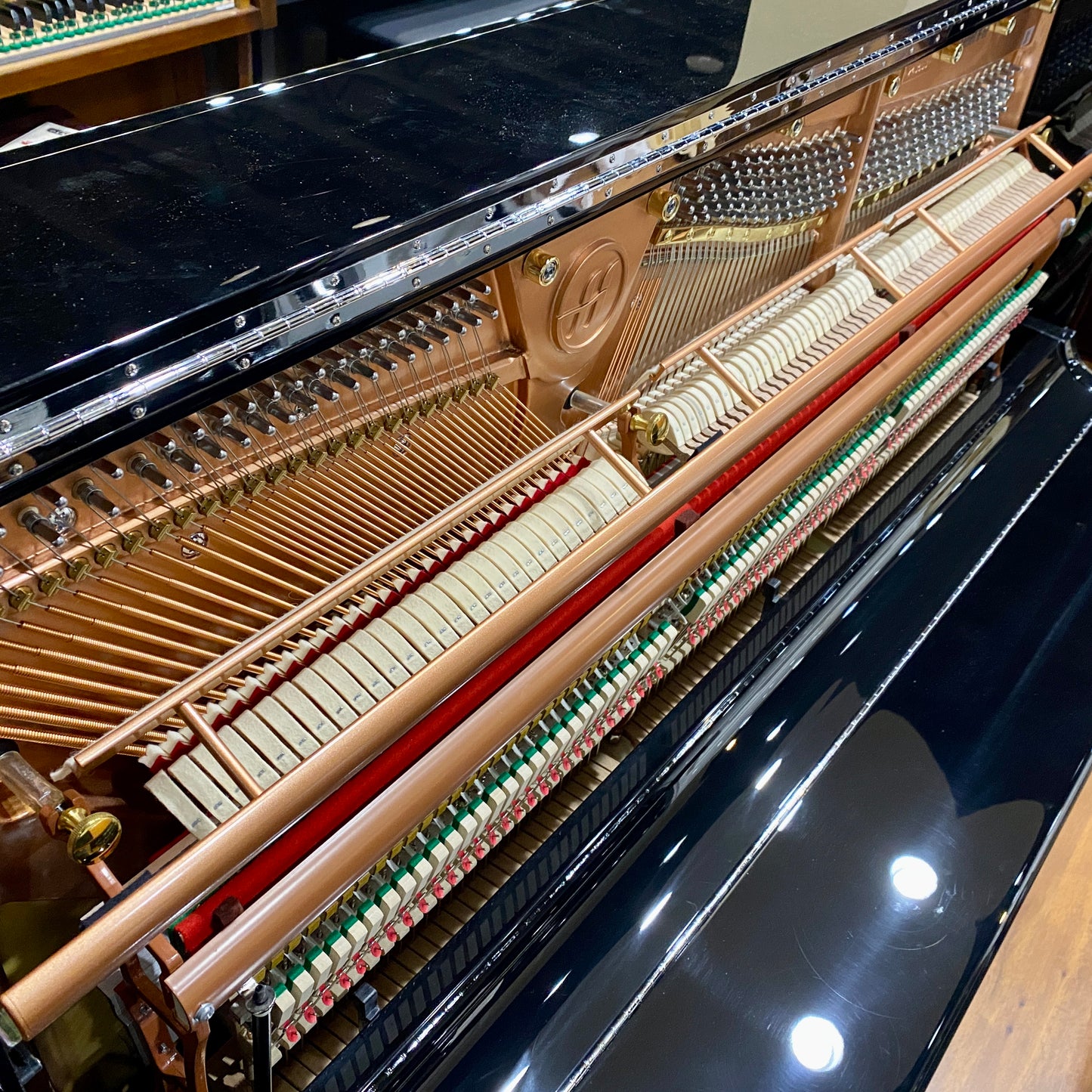 Image 10 of Hailun 5P CH Black Polish / 50"