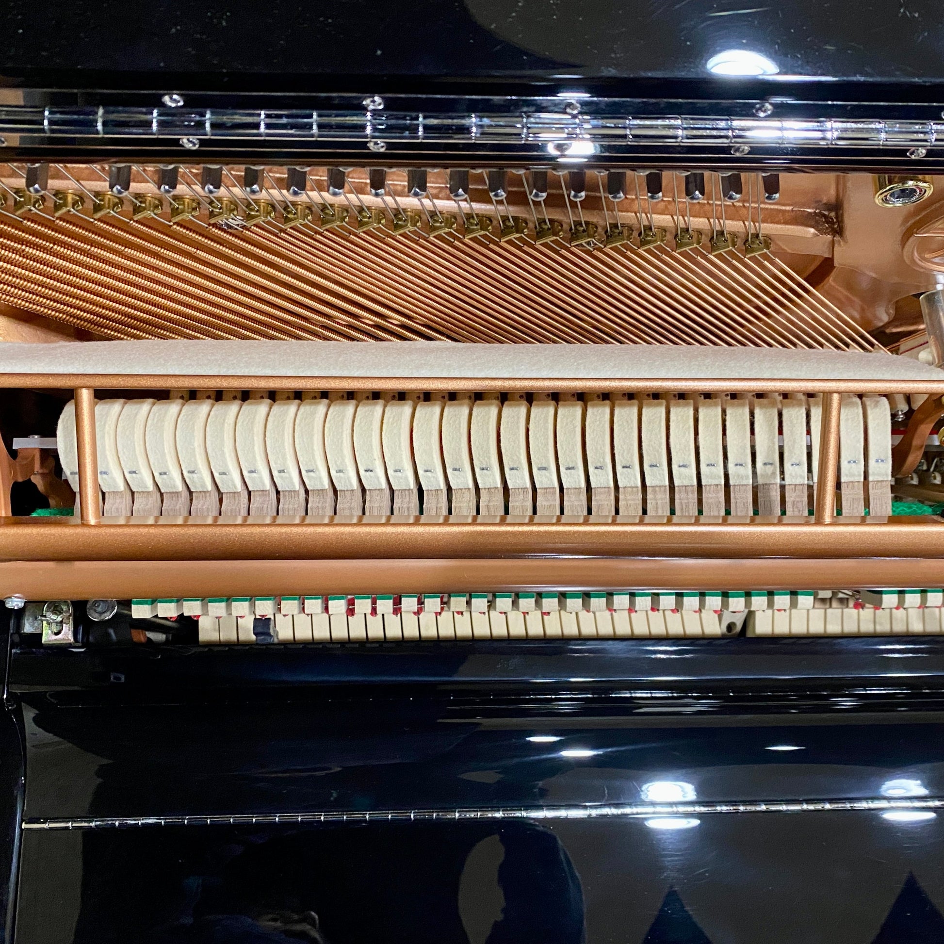 Image 11 of Hailun 5P CH Black Polish / 50"