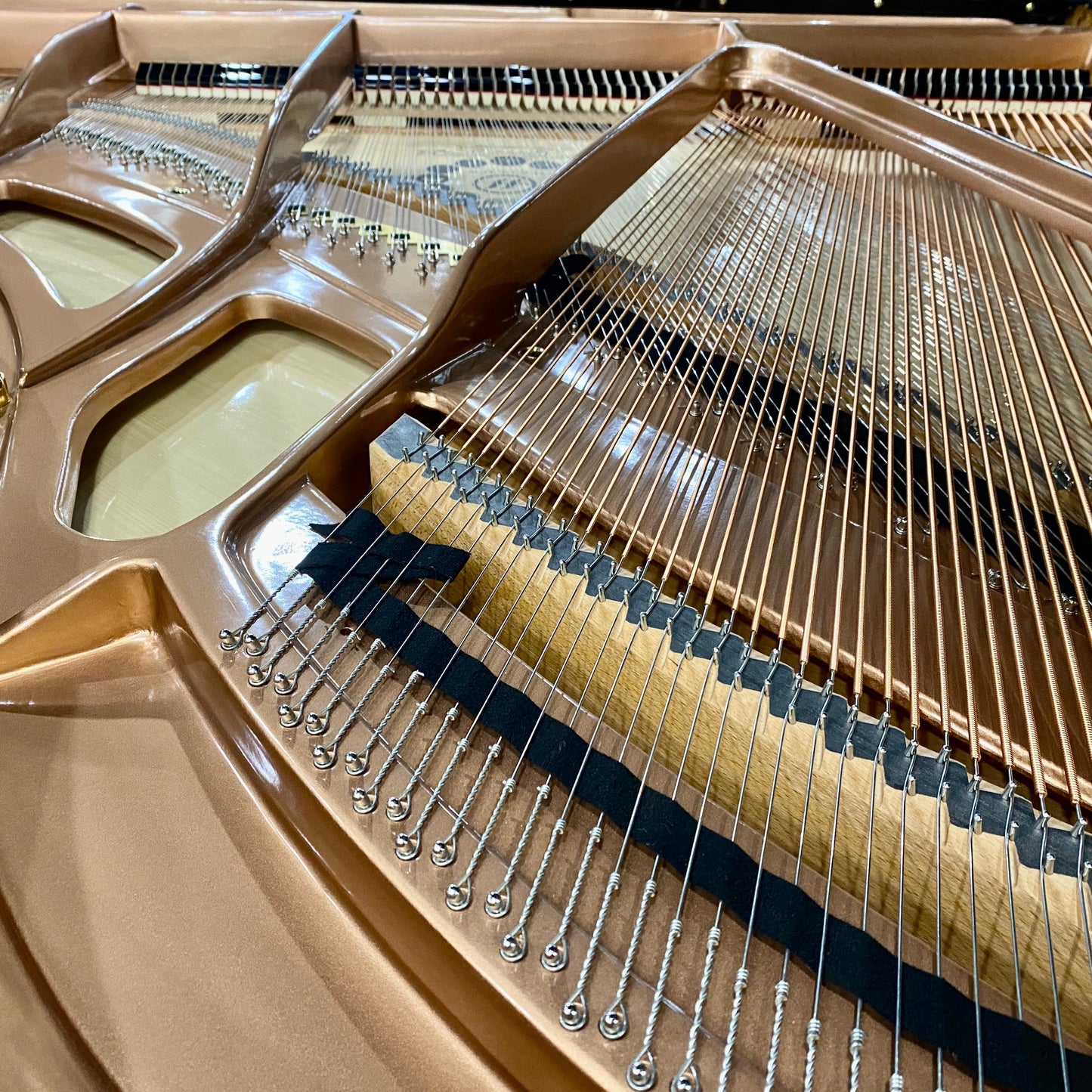 Image 13 of Hailun 178 / Polished Black / 5'10"