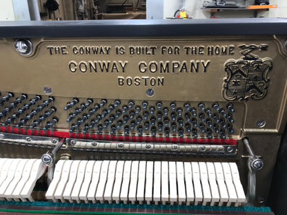 Image 24 of 1923 Conway upright player