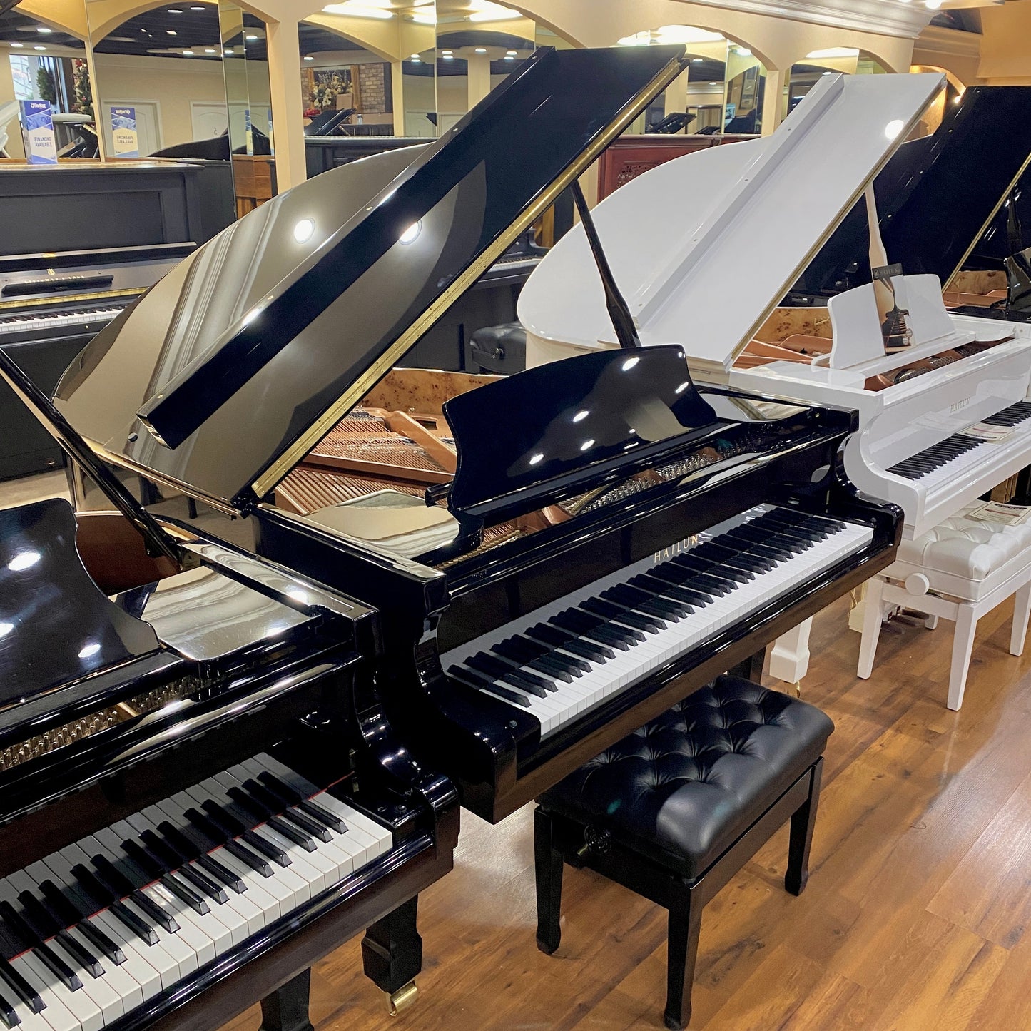 Image 2 of Hailun 151 Polished Black / 5'
