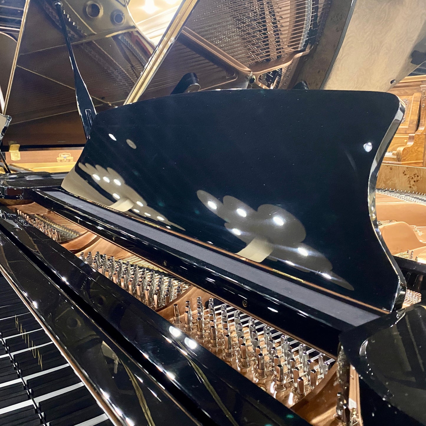 Image 3 of Hailun 151 Polished Black / 5' with QRS Self Playing System