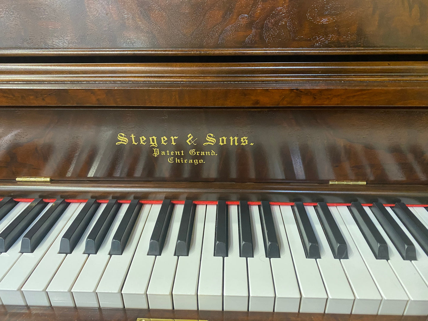 Image 6 of Steger & Sons Upright