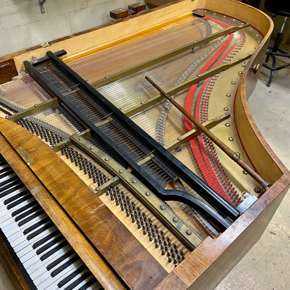 Image 11 of Unique Vienese Action - Straight Strung - An Artifact of Piano History! with QRS Self Playing System