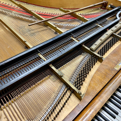 Image 14 of Unique Vienese Action - Straight Strung - An Artifact of Piano History! with QRS Self Playing System