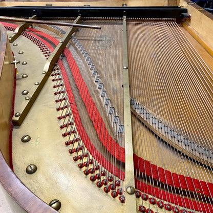 Image 15 of Unique Vienese Action - Straight Strung - An Artifact of Piano History! with QRS Self Playing System