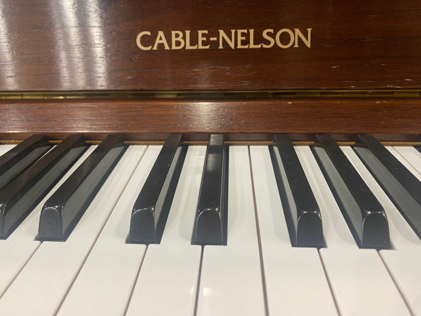 Image 9 of 2012 Cable Nelson / Walnut 46"