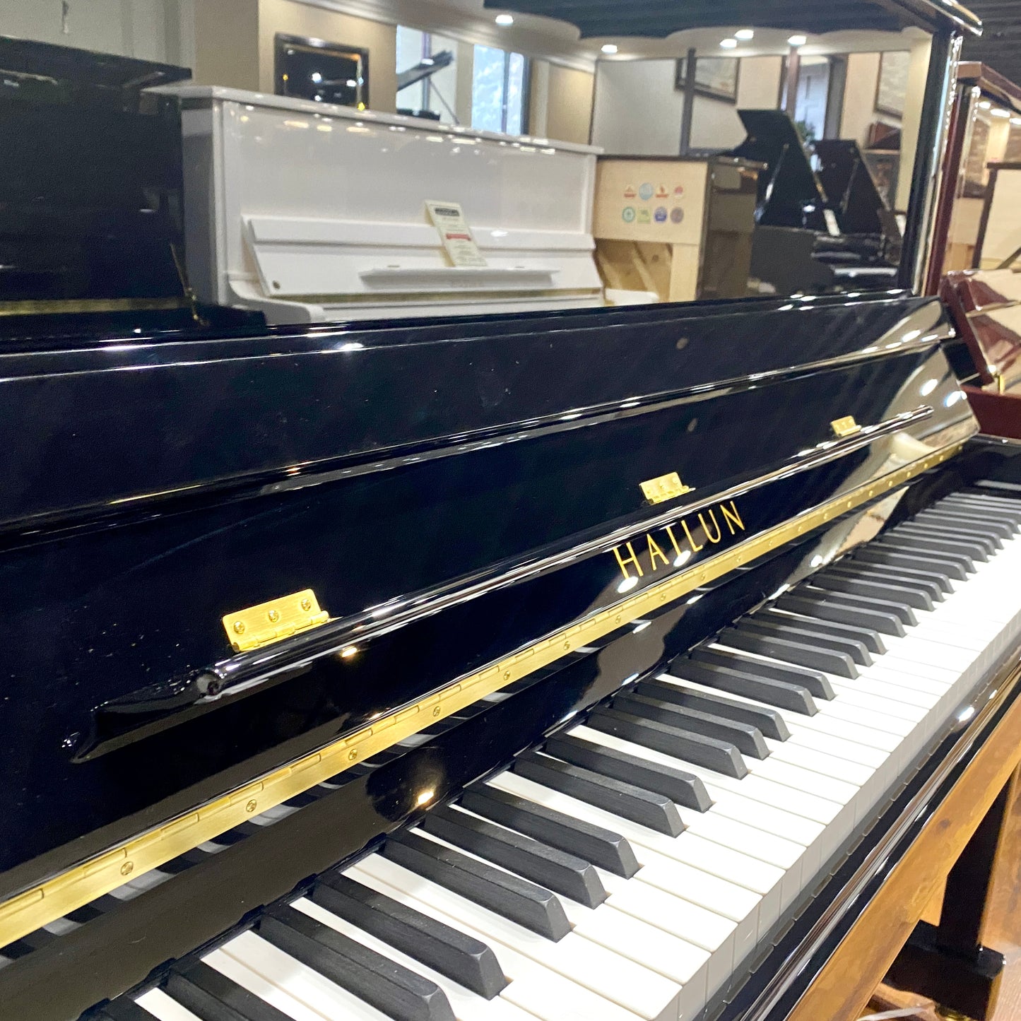 Image 5 of Hailun 5 P / 50"