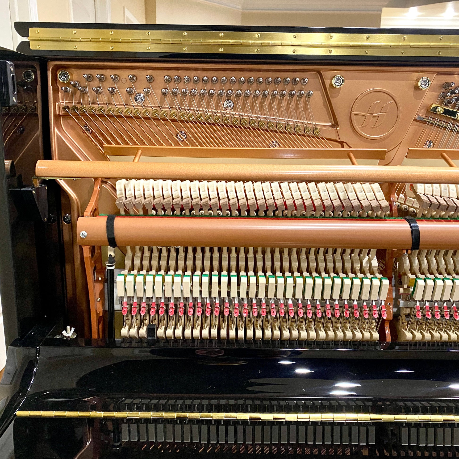 Image 9 of Hailun 5 P / 50"