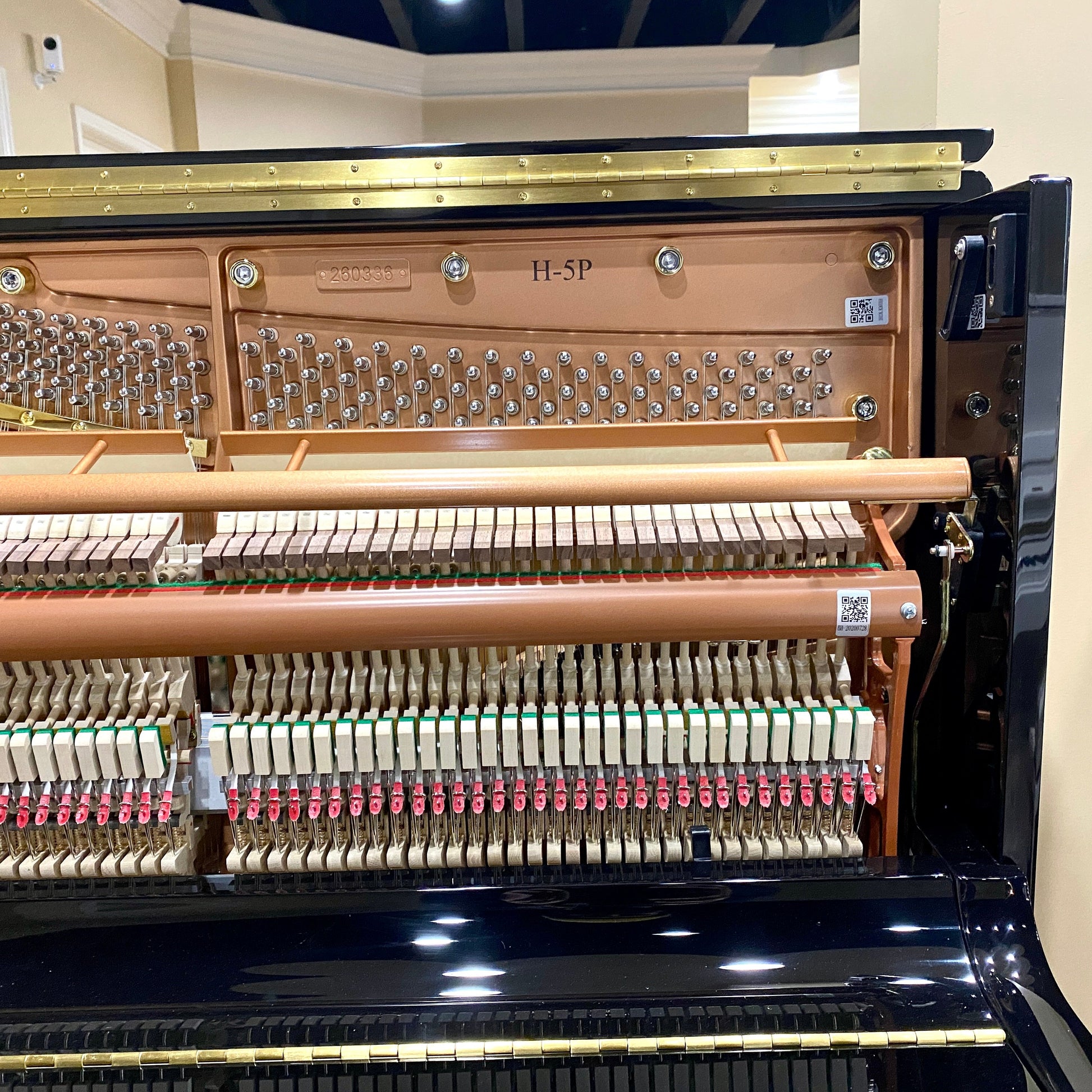 Image 10 of Hailun 5 P / 50"