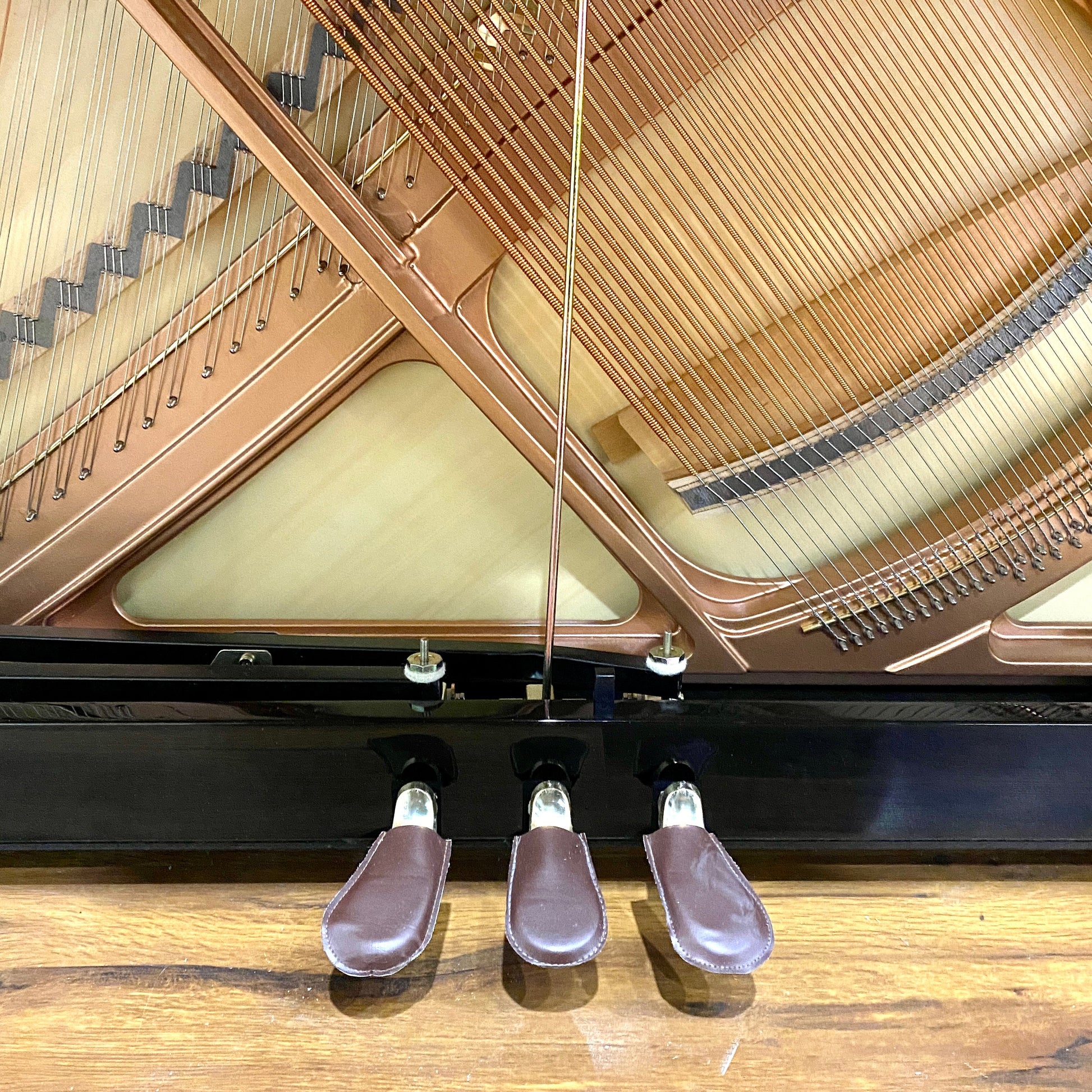 Image 13 of Hailun 5 P / 50"