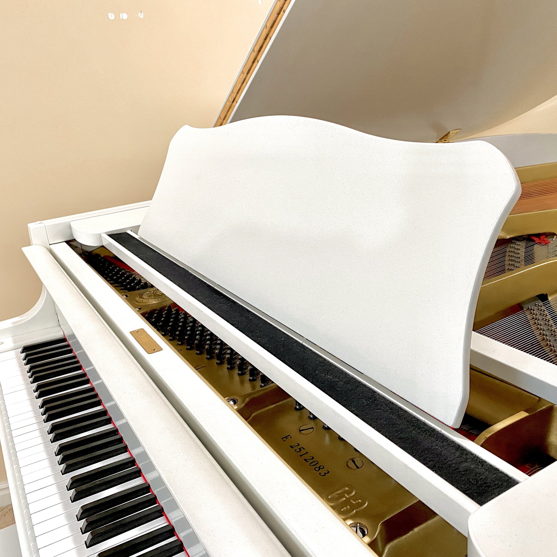 Image 6 of 1977 Yamaha G3 5'10" Satin White