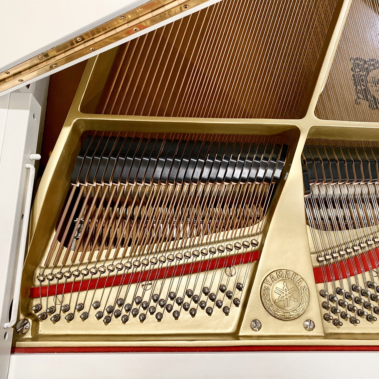 Image 10 of 1977 Yamaha G3 5'10" Satin White