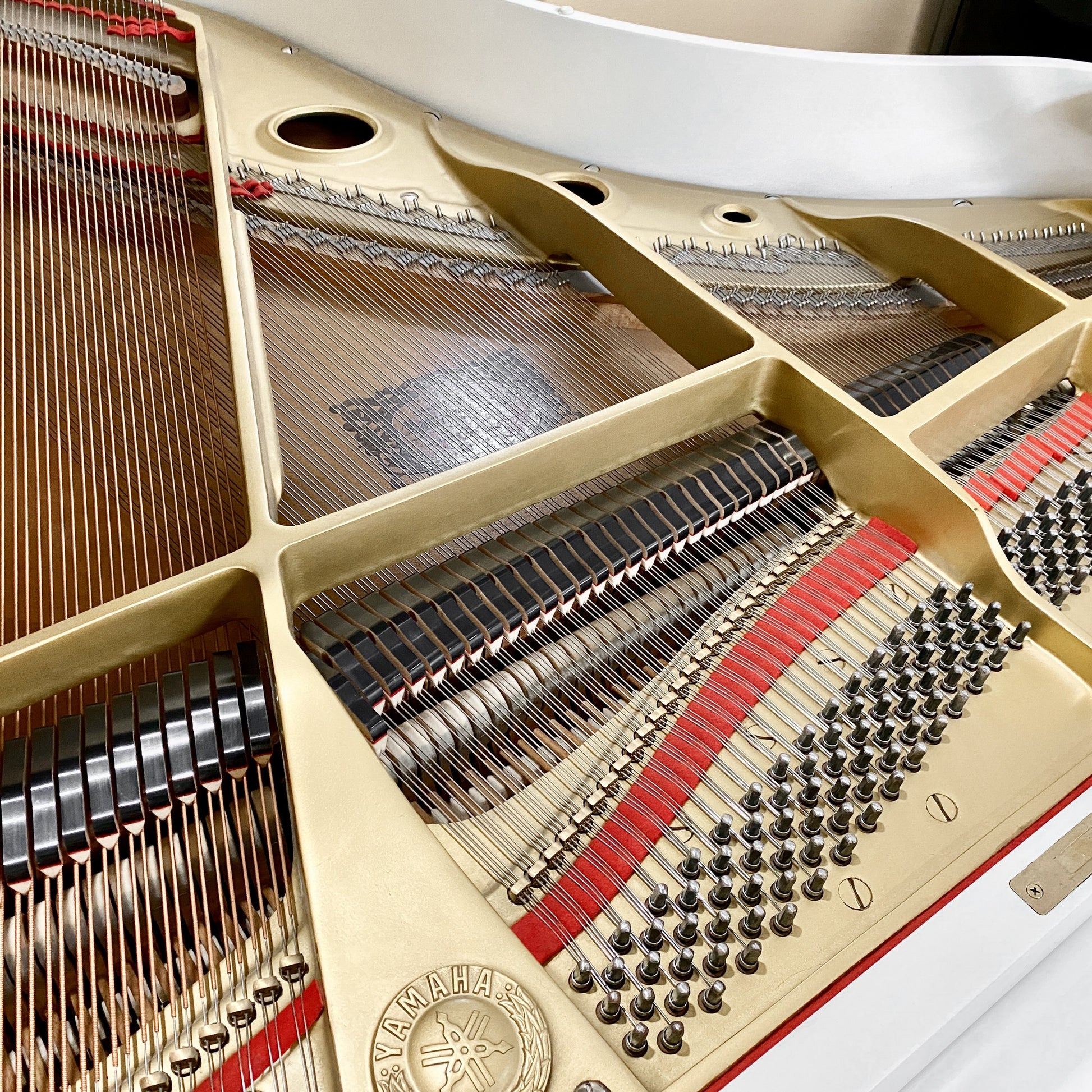 Image 11 of 1977 Yamaha G3 5'10" Satin White