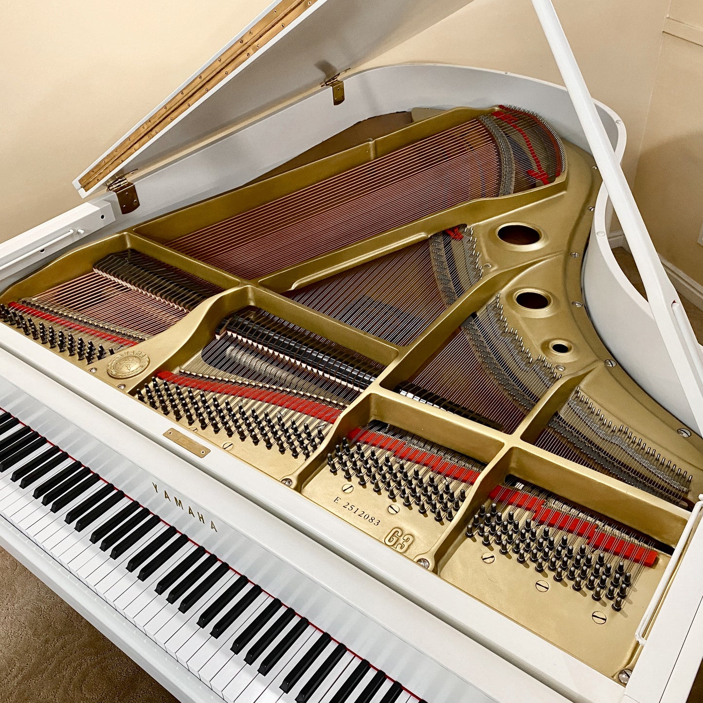 Image 12 of 1977 Yamaha G3 5'10" Satin White