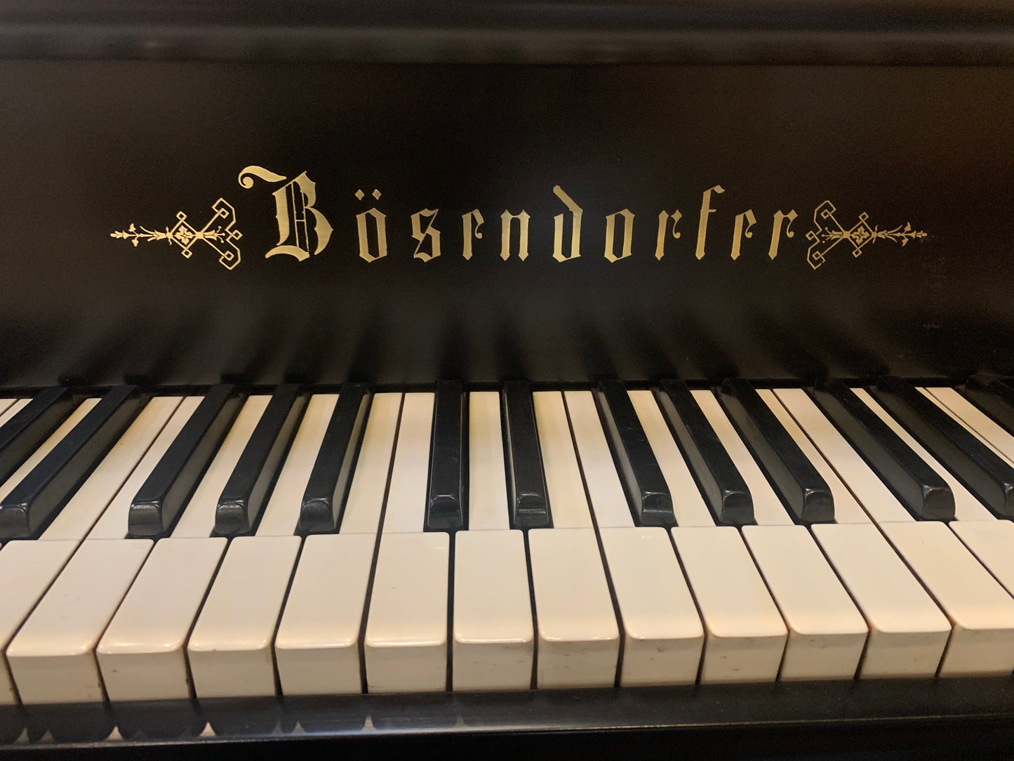 Image 5 of Bosendorfer Grand