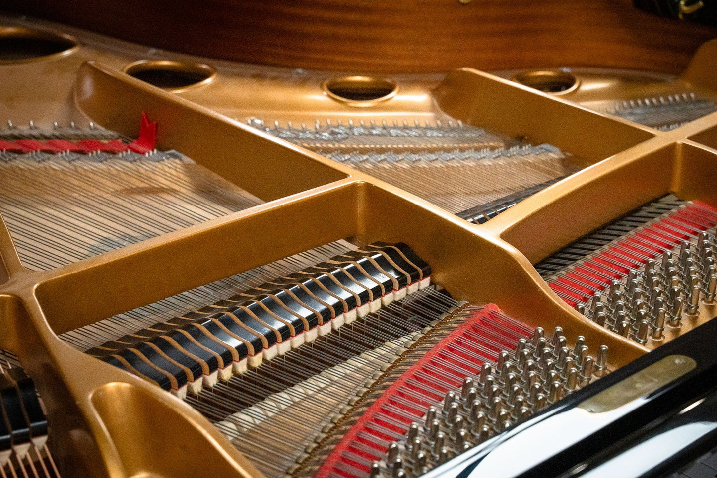 Image 18 of 1995 Samick Grand SG-172 / 5'8"