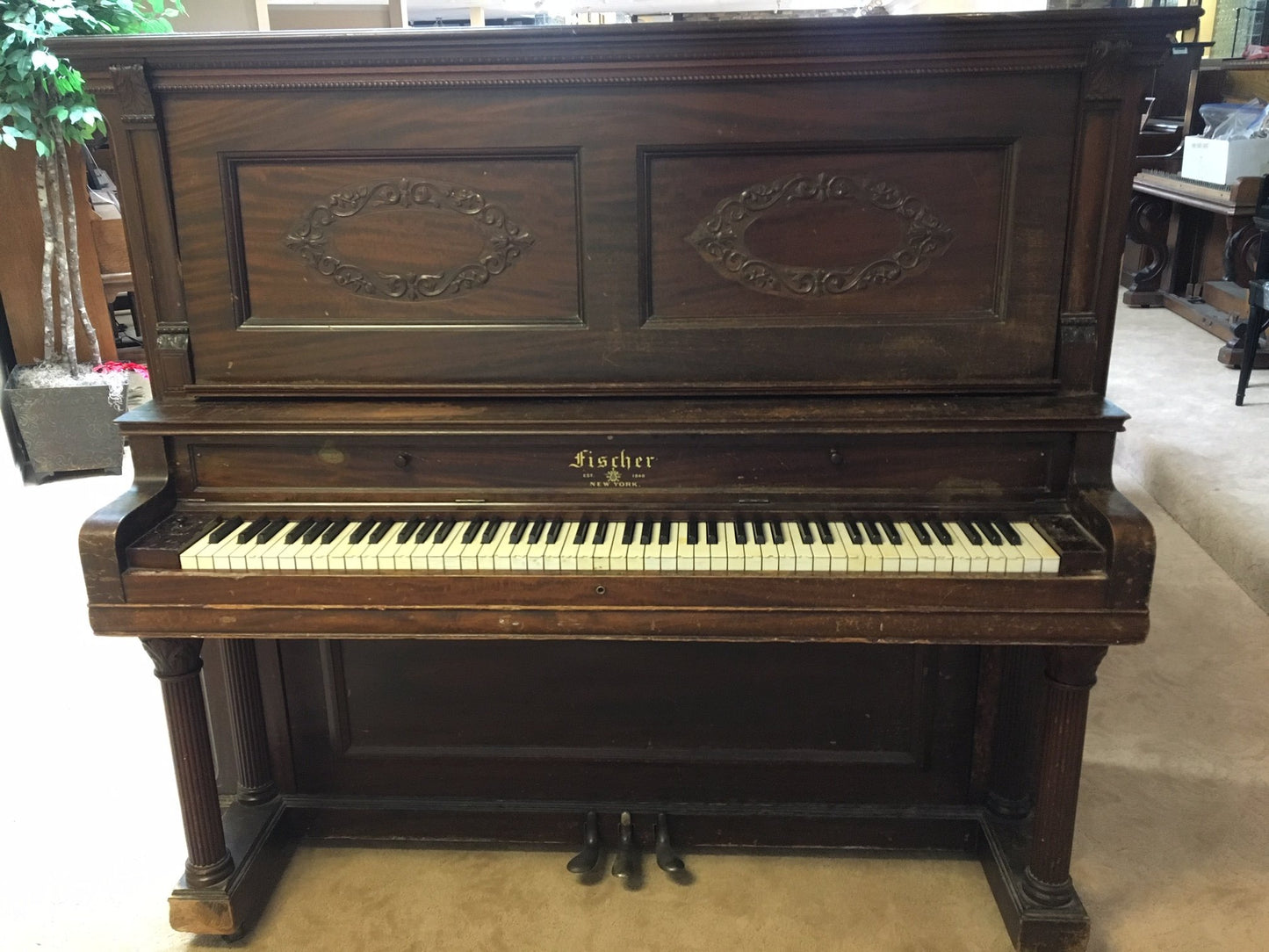 Image 19 of 1903 Fischer 57" Satin Ebony