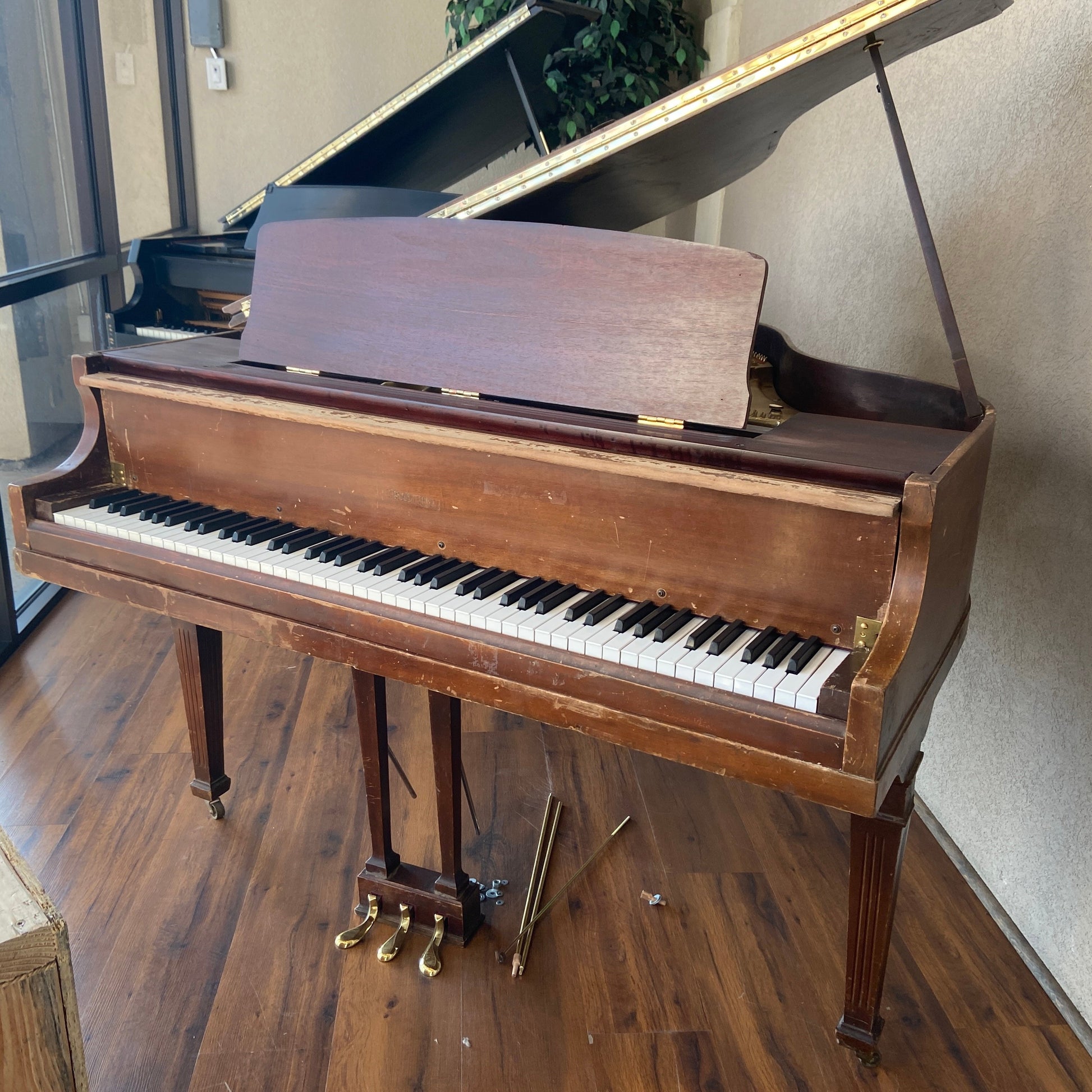 Image 24 of 1931 Bradbury / 4'7"