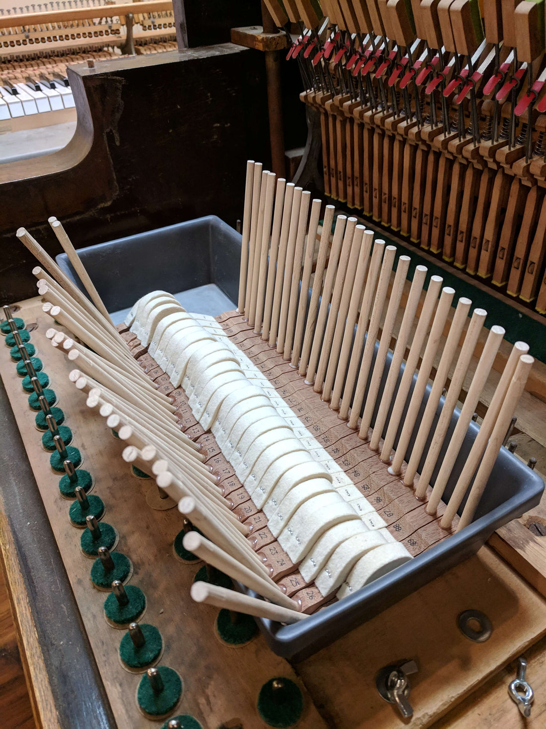 Piano Lessons Blog - A Basket of Lollipops