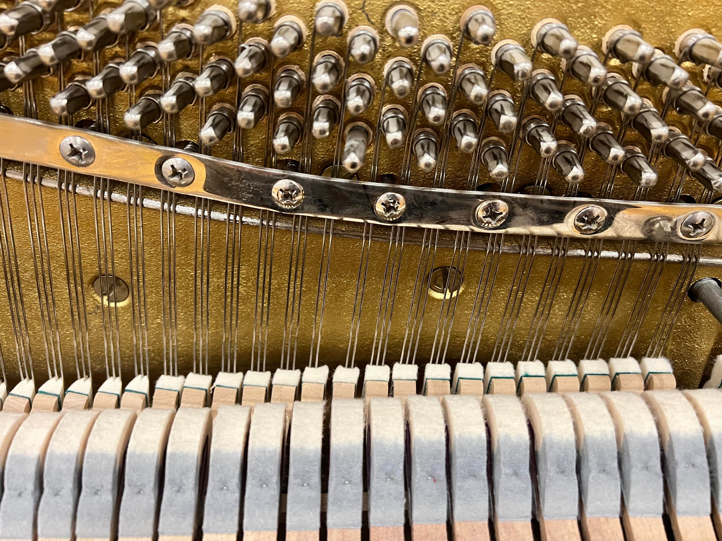 Expert Piano Restringing Reviving CenturyOld Steinway Grands and Hei